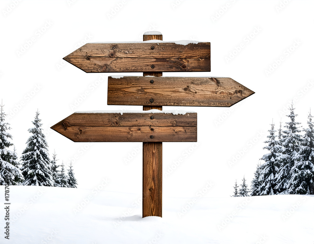 Fototapeta premium Fresh snow covers mossy logs and rocks. This serene winter forest scene, isolated on a white background, captures nature's tranquility and seasonal beauty