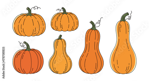 A collection of various orange pumpkins and gourds in an illustrative style, perfect for autumn and harvest season designs.