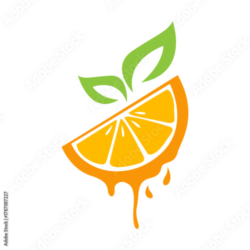 Citrus fruit icon design