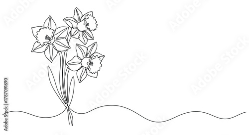 Elegant continuous line drawing of a trio of daffodils with wavy stem detail