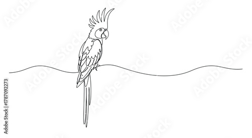 Minimalist single line drawing of a cockatoo perched on a wavy horizontal line against a white background