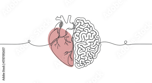 Abstract single line drawing symbolizing the connection between the human heart and brain in a harmonious balance