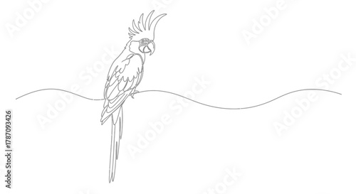 Elegant single line drawing of a majestic cockatoo perched on a wavy branch against a white background