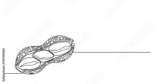 Minimalist single line drawing of an open peanut shell revealing three delicious kernels on a white background