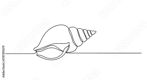 Elegant single line drawing of a seashell showcasing its spiraling form and delicate aperture