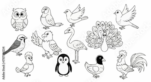 Collection of Diverse Bird Species Outlines for Coloring and Education.
