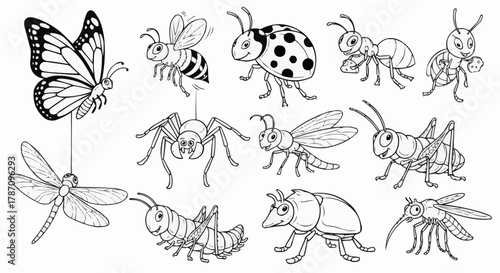 Variety of Insects - Butterfly, Bee, Ladybug, Ant, Spider, Wasp, Grasshopper, Caterpillar, Beetle, Mosquito.