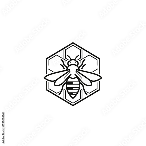 A minimalist vector illustration presents a stylized bee in black and white, centered within a hexagonal honeycomb frame, ideal for logos or branding.