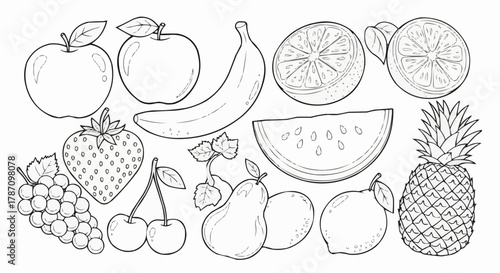 Collection of Hand Drawn Fruits in Sketch Style.