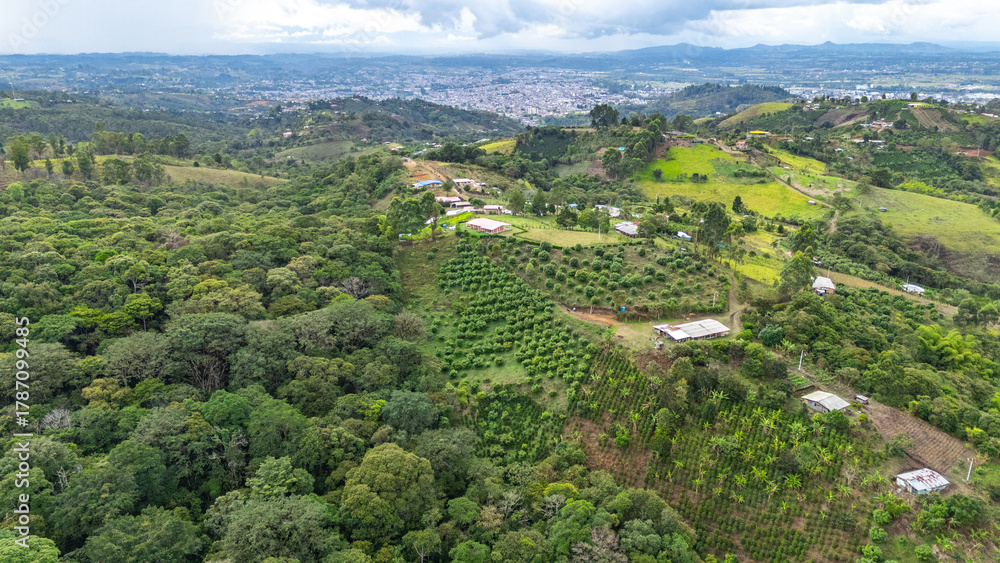 Obraz premium Stunning aerial view of lush green fields and hills in Popayán, Cauca, Colombia, showcasing the beauty of nature and agricultural landscapes.