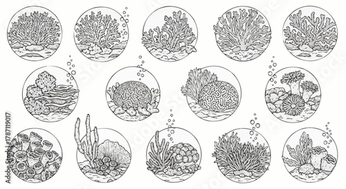 Underwater World - Hand-Drawn Coral Reefs and Marine Life Illustrations.