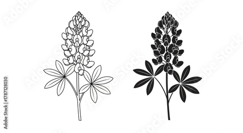 Two laurel wreaths shown in outline and color variations side by side