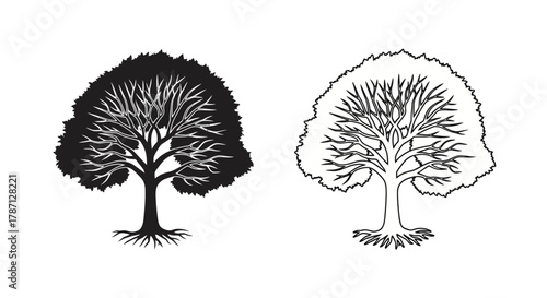 Two ballet dancers in silhouette and outline showcasing graceful movement