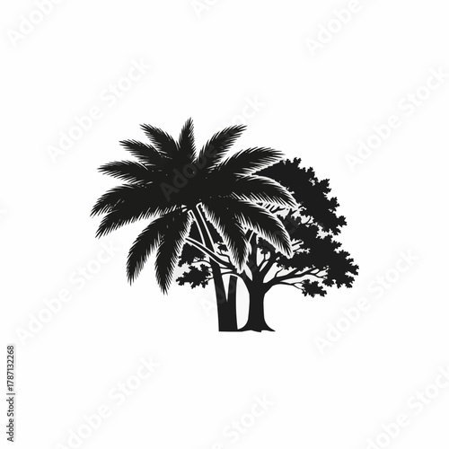 Silhouette of a palm tree and another tree.