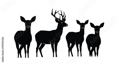 Elegant deer silhouette family group isolated on white background