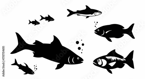 Silhouette of Various Fish Species Swimming Together in a Group.