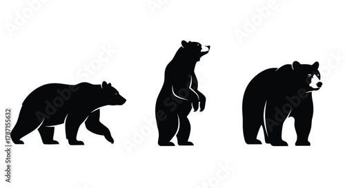 Illustrative black bears standing and walking wildlife art design