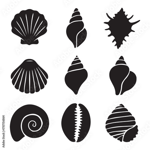 Seashells set vector