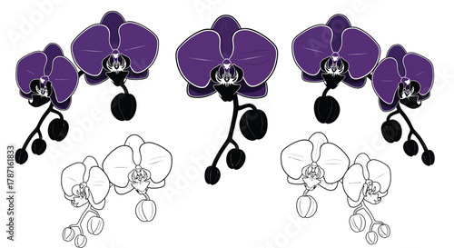 Elegant purple orchids blossom with graceful botanical design element
