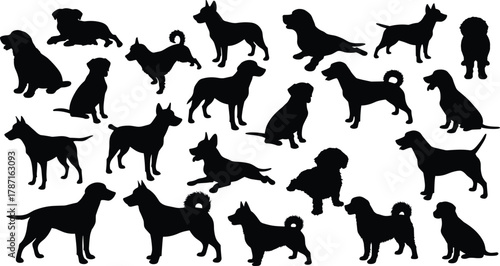 Collection of various dog silhouettes in different poses, domestic pet animals, vector illustration set of dogs, puppy shapes, canine design