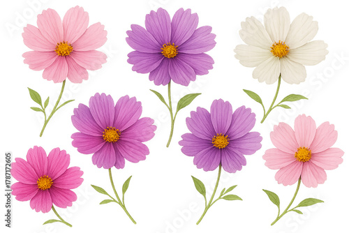 Blossom Varieties: A vibrant display of cosmos flowers, each a unique hue, showcasing nature's artistry with their delicate petals and bright yellow centers.