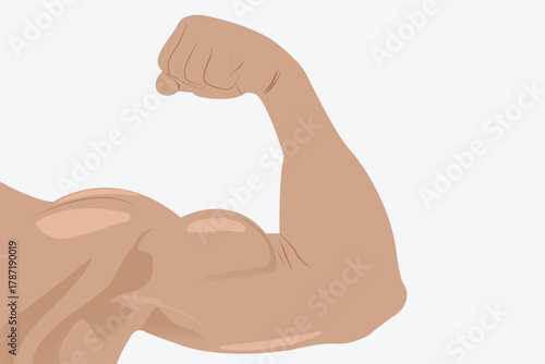 Strong flexed arm showing defined bicep muscle in a simple vector illustration. eps 10
