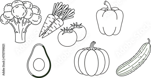 Fruit and vegetable line drawing set, broccoli carrot tomato avocado pepper sketch, healthy food art, cad drawing flat vector illustration
