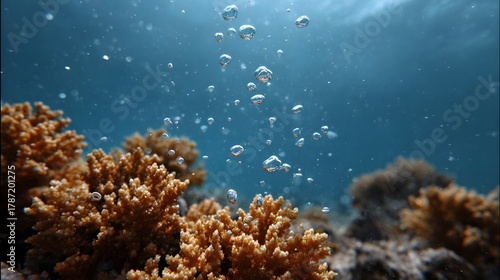 Fototapeta Naklejka Na Ścianę i Meble -  Underwater view of vibrant coral reef formations with rising bubbles in clear blue ocean water