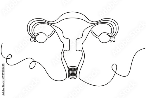Continuous single line uterus anatomy drawing abstract female health art