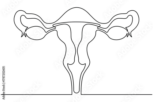 Minimalist continuous line art of uterus and fallopian tubes illustration