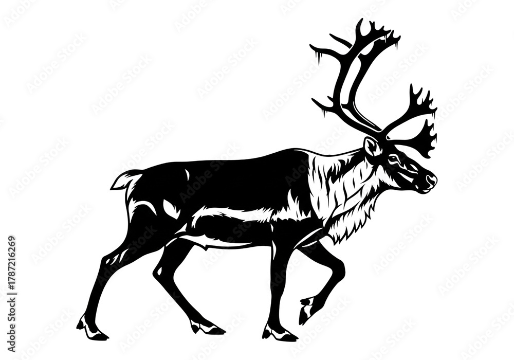 Fototapeta premium Reindeer Walking Antlers Silhouette Black Vector SVG