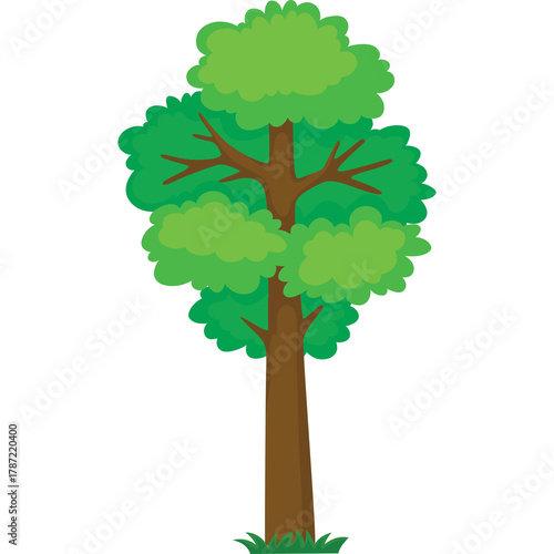 A Tall Green Deciduous Tree With A Brown Trunk And Lush Foliage Stands In A Grassy Field Against A Transparent Background In A Simple Cartoon Style