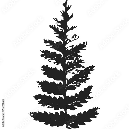 Black Silhouette Of A Tall Evergreen Tree With Dense Needles On A White Background No Animals Present No Faces Visible No Defects Found