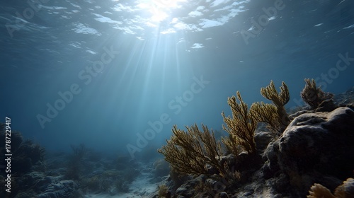 Fototapeta Naklejka Na Ścianę i Meble -  Sunlight streams through clear blue ocean water onto a vibrant coral reef