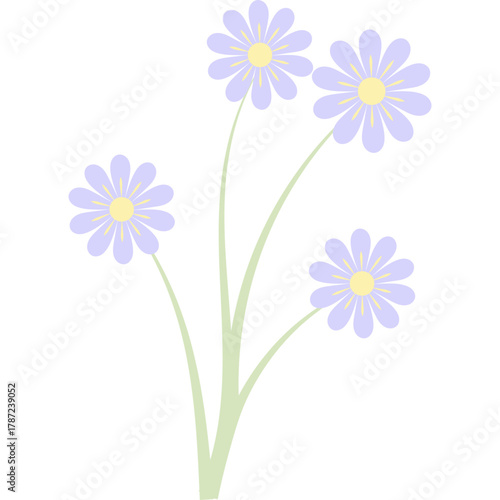 Aesthetic Flower Bouquet