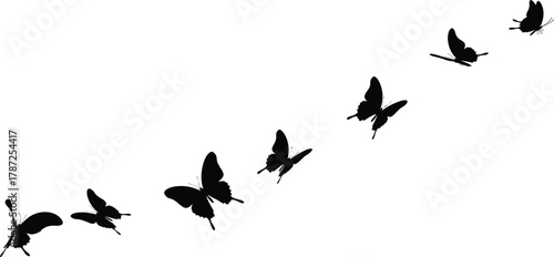 Butterfly silhouette in flight, insect motion sequence, black flying butterfly, nature illustration, graceful wings, minimal vector, artistic wildlife design