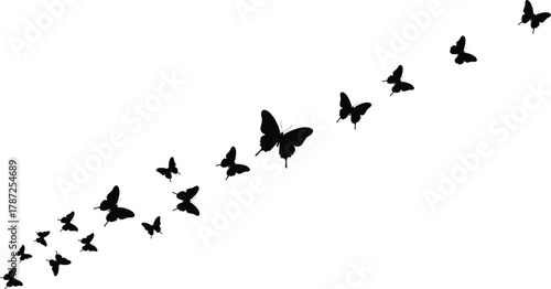 Butterfly, silhouette, black, flying, transformation, growth, abstract, minimal, nature, motion, diagonal, elegant, isolated, vector, graphic, design, symmetry, wings, artistic, pattern