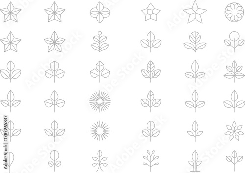 Elegant botanical and star icons for modern logo design and branding elements