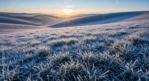 Rime Frost on Rolling Hills at Sunrise in Winter Landscape