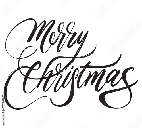Elegant Merry Christmas and Happy New Year calligraphy vector