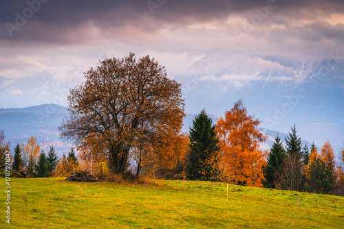 Fototapeta Naklejka Na Ścianę i Meble -  Spring landscape from Litwinka view piont, Poland