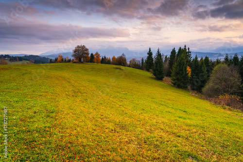 Fototapeta Naklejka Na Ścianę i Meble -  Spring landscape from Litwinka view point, Poland
