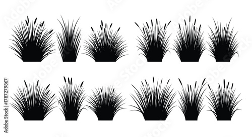 various grass silhouettes arranged neatly in rows
