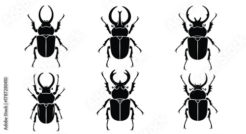 six beetles arranged in two rows showing different species