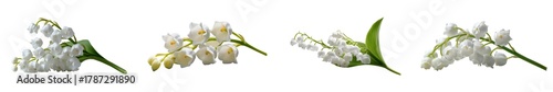Set of lily of the valley sprigs, isolated on transparent background