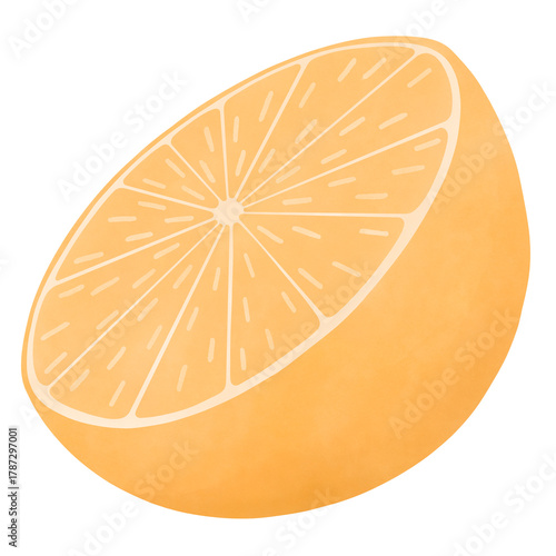 Cute Orange Half Cutaway Cartoon - Watercolor
