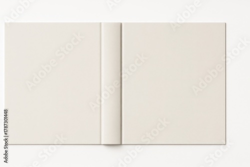 Front and back book cover dust jacket laid flat showing full spread and spine alignment on white