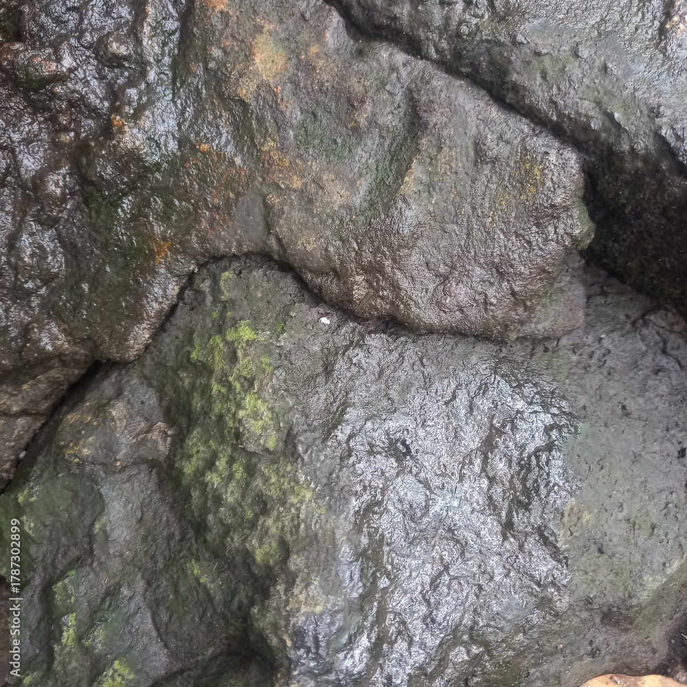 Naklejka premium Dark Gray Rock with Green Moss and Water Droplets Close Up