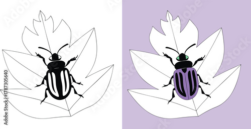Vibrant purple beetle perched on stylized leaf with minimalist black and white counterpart, perfect for nature and design projects