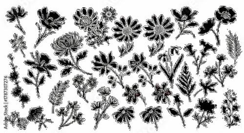A diverse collection of hand-drawn black and white floral illustrations. A set of various vintage-style flowers and botanicals for design